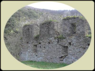 La ruine du château